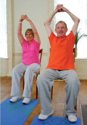 Shoulder flexion exercises