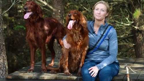Amanda Geard with red setter dogs